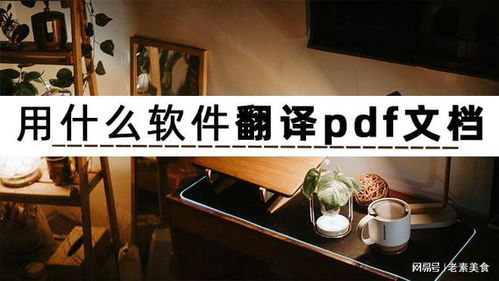 如何高效翻譯PDF文檔？三款人工智能軟件深度解析與應(yīng)用開(kāi)發(fā)趨勢(shì)